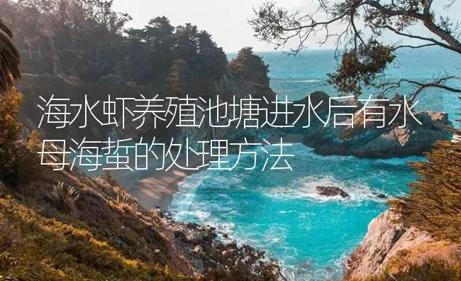 海水虾养殖池塘进水后有水母海蜇的处理方法 | 海水养殖