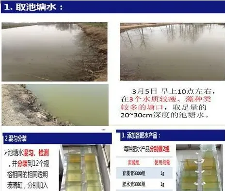 生态平衡肥小水体实验：早期低温肥水最佳产品是什么