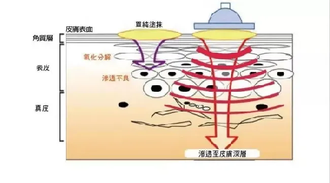 水产药物对于鱼类机体的作用