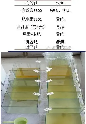 生态平衡肥小水体实验：早期低温肥水最佳产品是什么