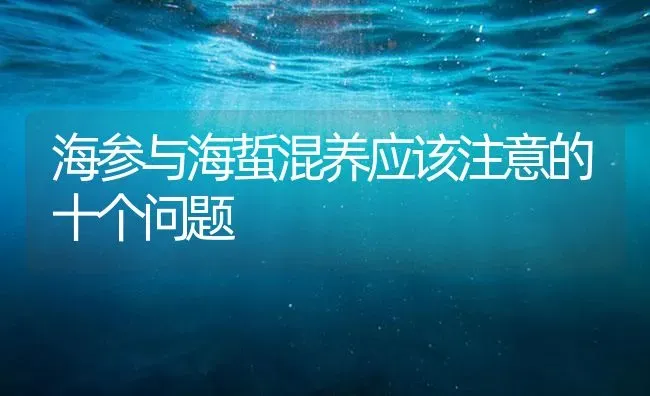 海参与海蜇混养应该注意的十个问题 | 海水养殖