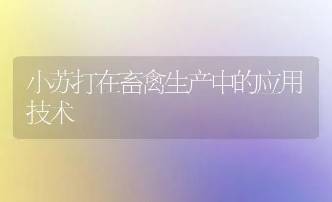 小苏打在畜禽生产中的应用技术 | 家禽养殖
