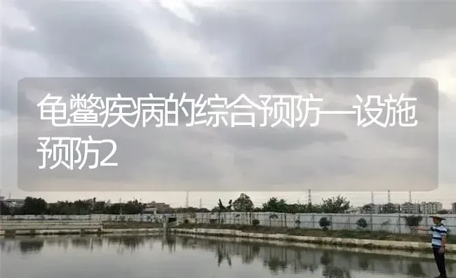 龟鳖疾病的综合预防—设施预防2 | 淡水养殖