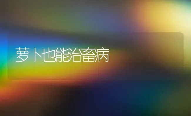 萝卜也能治畜病 | 家畜养殖