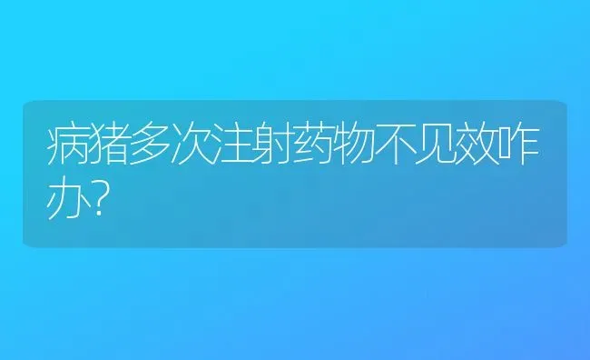 病猪多次注射药物不见效咋办？ | 养殖病虫害防治