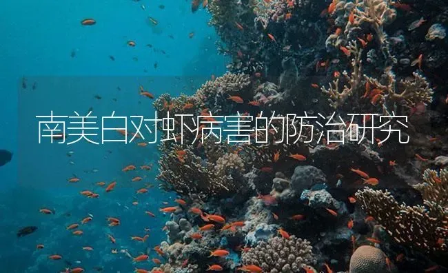 南美白对虾病害的防治研究 | 海水养殖