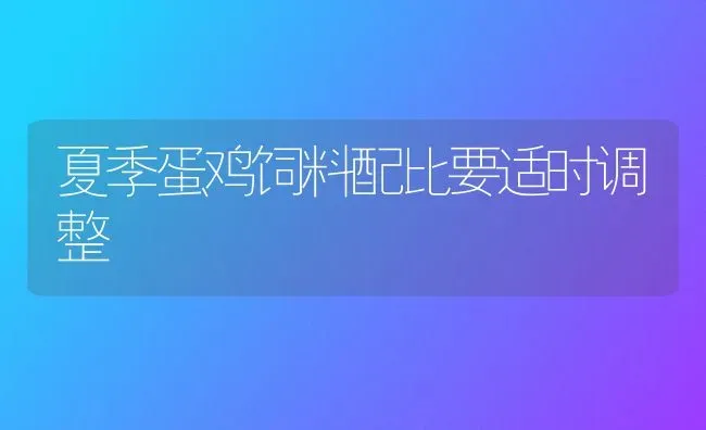 夏季蛋鸡饲料配比要适时调整 | 家禽养殖