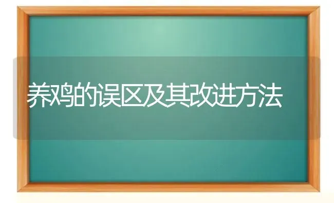 养鸡的误区及其改进方法 | 家禽养殖