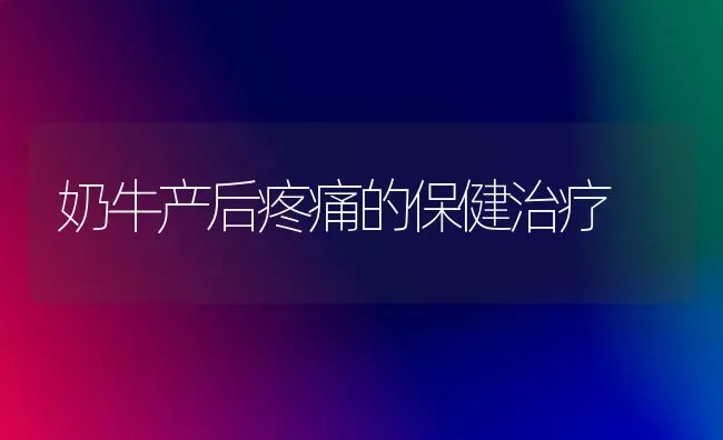 奶牛产后疼痛的保健治疗 | 淡水养殖