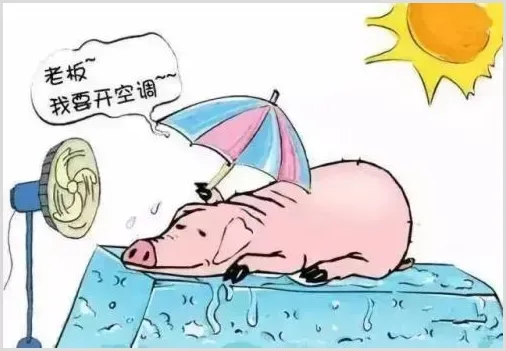 猪热应激症状及治疗方案 | 养殖疾病大全