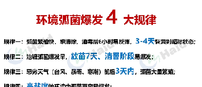 南美白对虾价格持续高涨！棚尾虾病害防控，一定要做到位！