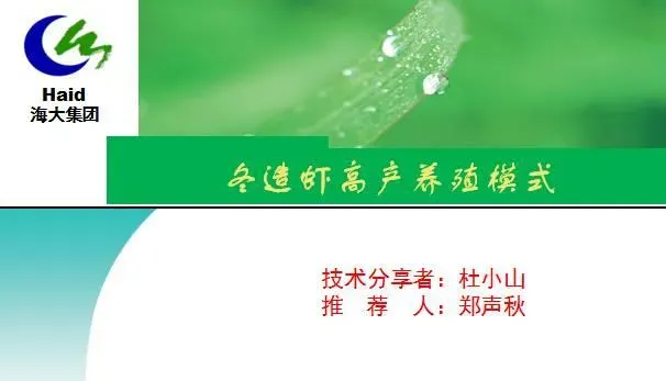 海南东方市四更镇冬造对虾高产养殖模式