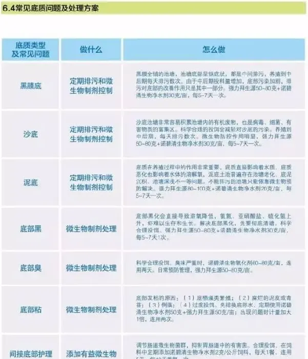 南美白对虾养殖户如何做好底部管理工作