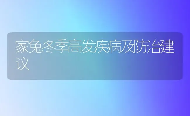 家兔冬季高发疾病及防治建议 | 家畜养殖