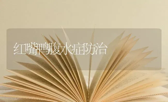 红嘴鸭腹水症防治 | 家禽养殖