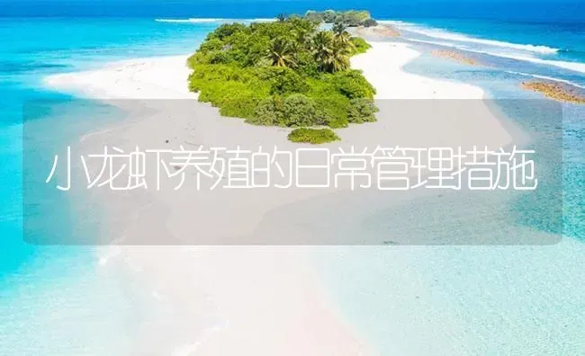 小龙虾养殖的日常管理措施 | 海水养殖