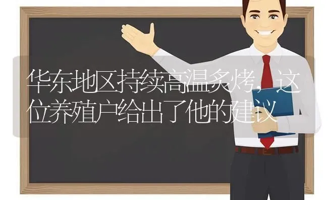 华东地区持续高温炙烤，这位养殖户给出了他的建议 | 动物养殖百科