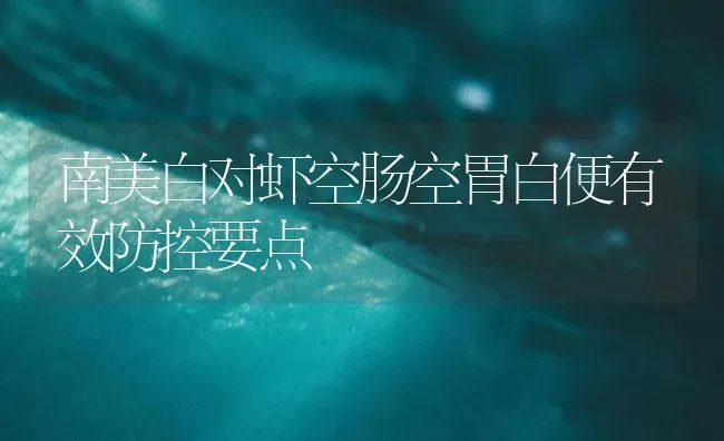 南美白对虾空肠空胃白便有效防控要点 | 海水养殖