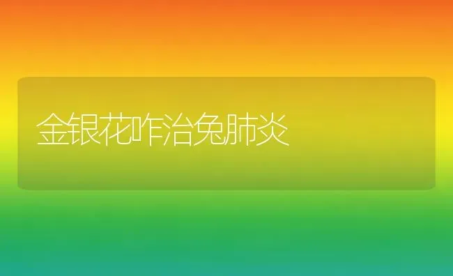 金银花咋治兔肺炎 | 家畜养殖