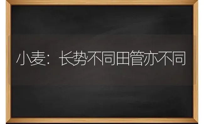 冬季鱼塘人工补氧措施 | 淡水养殖