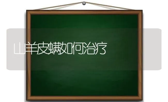 山羊皮螨如何治疗 | 家畜养殖