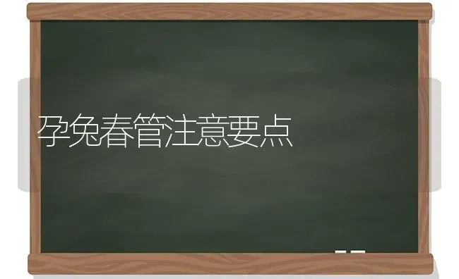 孕兔春管注意要点 | 家畜养殖