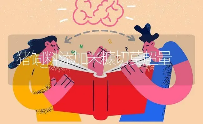猪饲料添加米糠切莫超量 | 家畜养殖