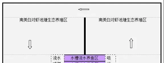 浙江模式：南美白对虾池塘循环水虾鱼生态高效养殖