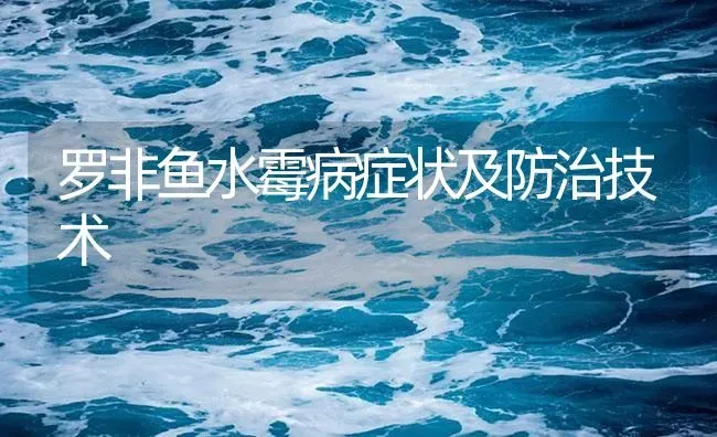 罗非鱼水霉病症状及防治技术 | 养殖病虫害防治