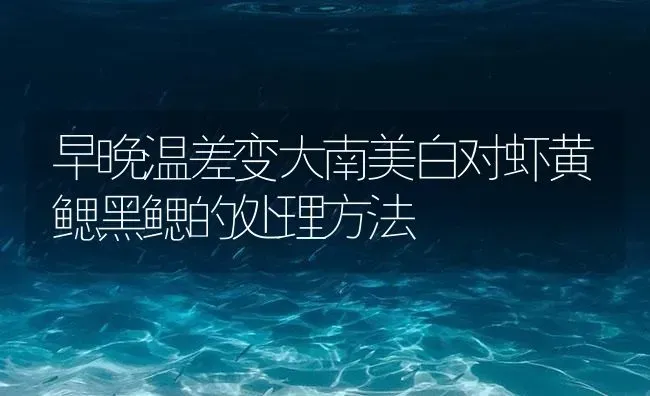 早晚温差变大南美白对虾黄鳃黑鳃的处理方法 | 海水养殖