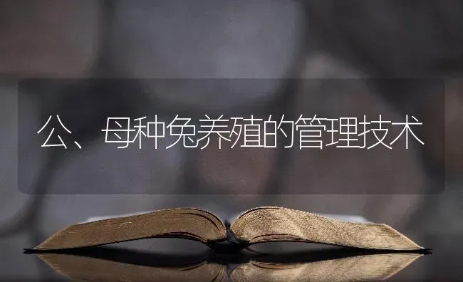 公、母种兔养殖的管理技术 | 家畜养殖