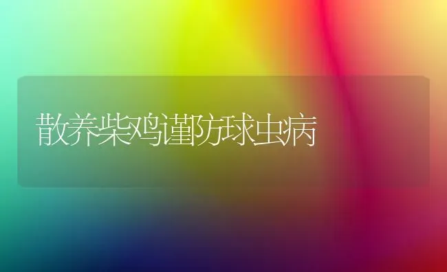 散养柴鸡谨防球虫病 | 家禽养殖