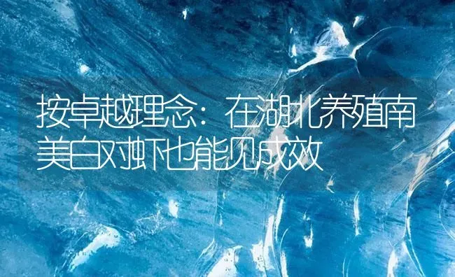 按卓越理念：在湖北养殖南美白对虾也能见成效 | 海水养殖