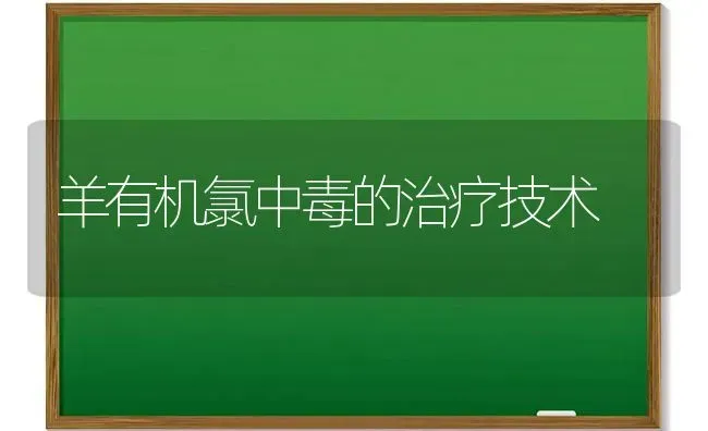 羊有机氯中毒的治疗技术 | 家畜养殖