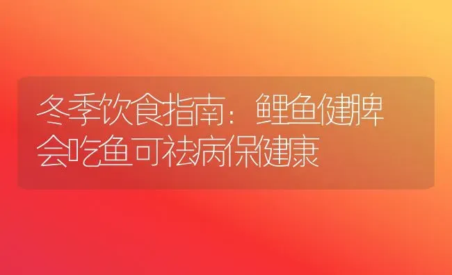 冬季饮食指南：鲤鱼健脾 会吃鱼可祛病保健康 | 动物养殖百科