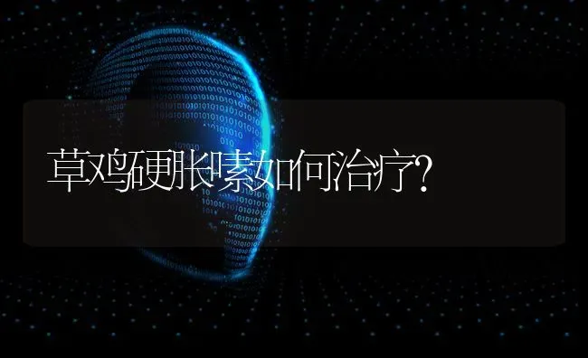 草鸡硬胀嗉如何治疗？ | 家禽养殖