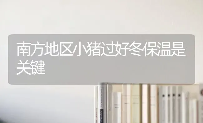 南方地区小猪过好冬保温是关键 | 家畜养殖