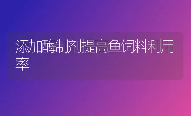 添加酶制剂提高鱼饲料利用率 | 动物养殖饲料