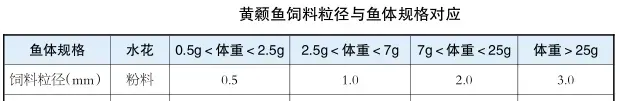 请收好养殖新贵黄颡鱼的降料比、增效益的秘笈