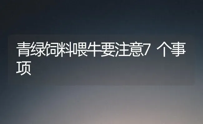 青绿饲料喂牛要注意7个事项 | 动物养殖饲料