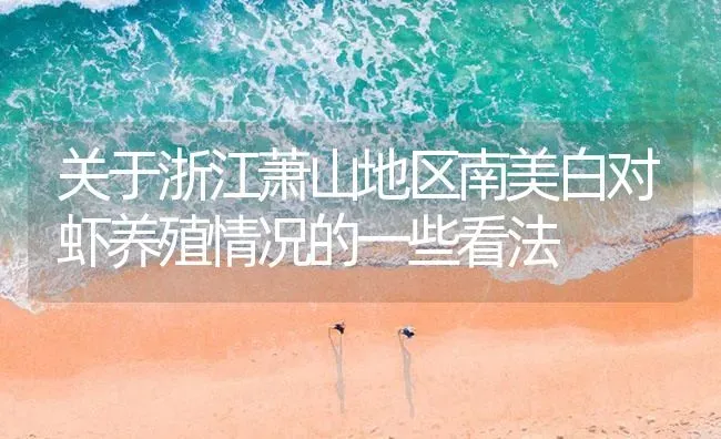 关于浙江萧山地区南美白对虾养殖情况的一些看法 | 海水养殖