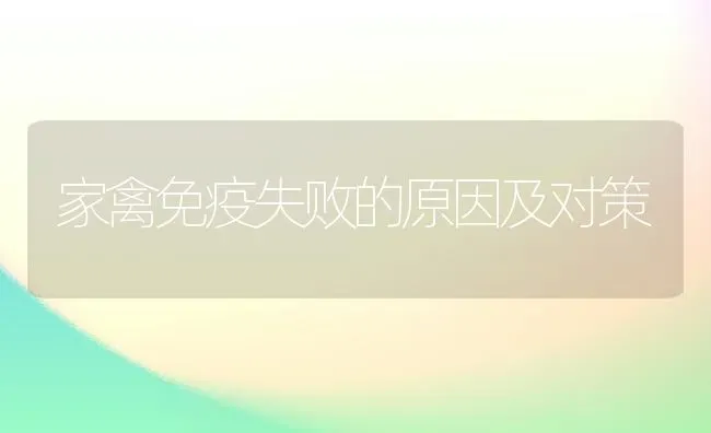家禽免疫失败的原因及对策 | 家禽养殖