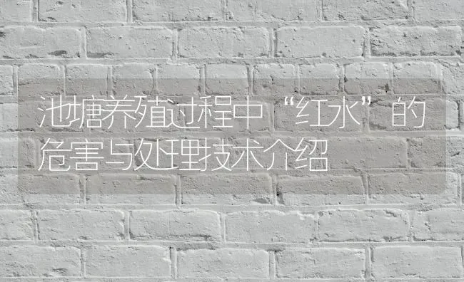 池塘养殖过程中“红水”的危害与处理技术介绍 | 动物养殖百科