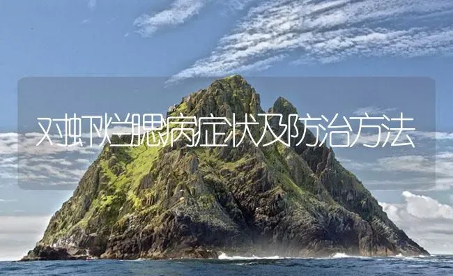 对虾烂腮病症状及防治方法 | 海水养殖