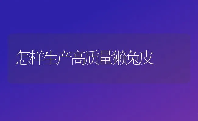 怎样生产高质量獭兔皮 | 家畜养殖