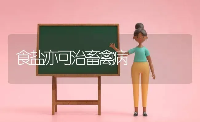食盐亦可治畜禽病 | 家禽养殖