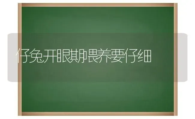 仔兔开眼期喂养要仔细 | 家畜养殖