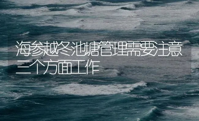 海参越冬池塘管理需要注意三个方面工作 | 海水养殖