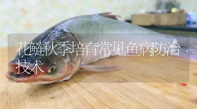 花鲢秋季培育常见鱼病防治技术 | 淡水养殖