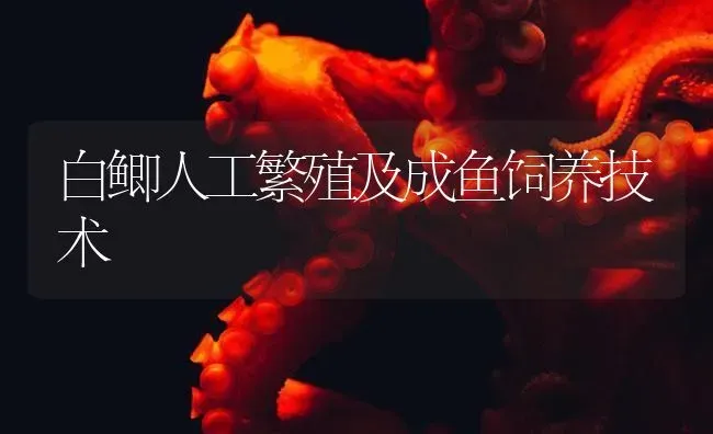 白鲫人工繁殖及成鱼饲养技术 | 淡水养殖